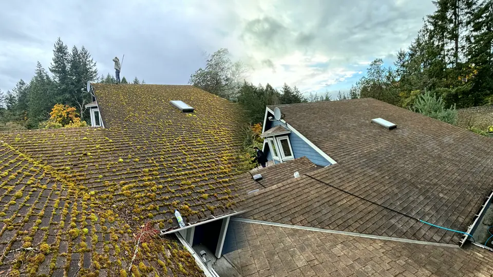 Before and after: a moss-covered Vancouver Island roof next to the same roof cleaned by AnyWeather